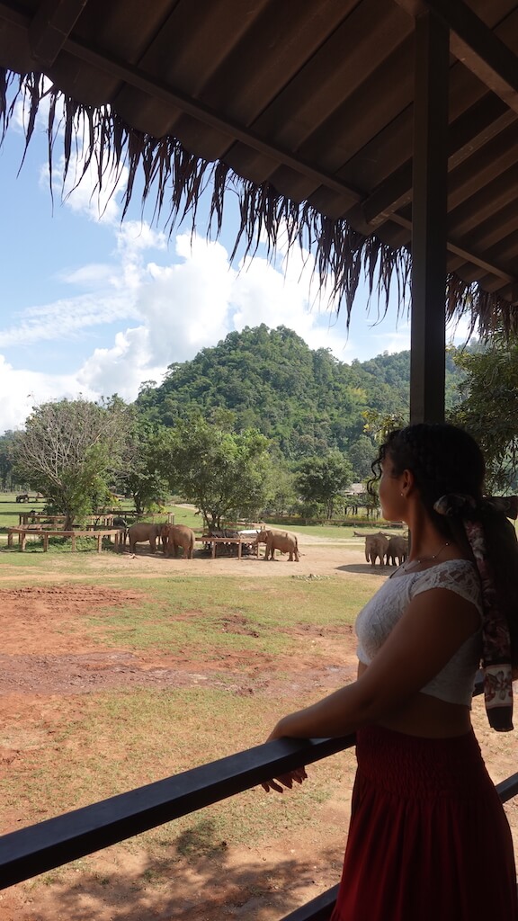 Solo female traveler looking out at group of elephants standing from an elevated observation deck while visiting Elephant Sanctuary in Chiang Mai, Thailand during her 1 month in thailand itinerary