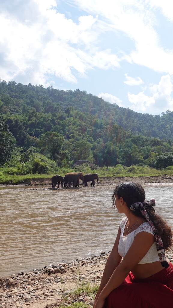 Solo female traveler looking at group of elephants bathing in river while visiting elephant sanctuary during her 1 month in thailand itinerary