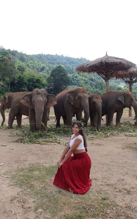 solo female traveler with elephants in elephant sancturary in chiang mai thailand