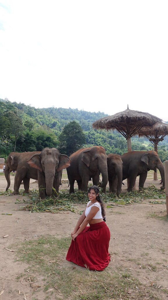 Solo female traveler posing with group of elephants while visiting Elephant Sanctuary in Chiang Mai, Thailand during her 1 month in thailand itinerary